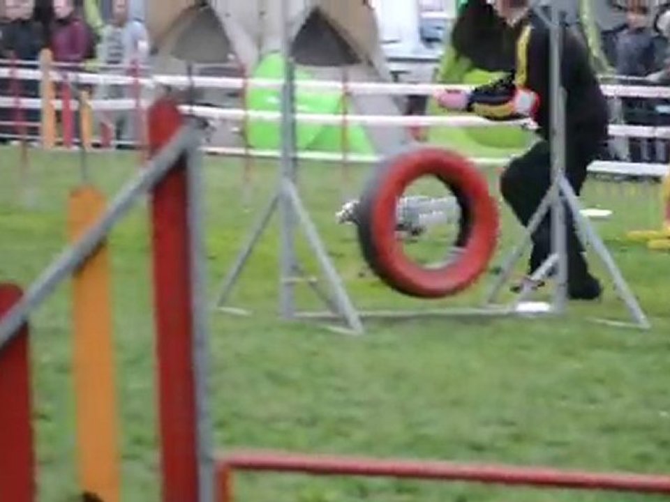 bianca GPF francaltroff 27032011