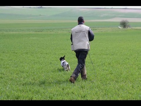 Field Trial Printemps 2011 Vimpelles