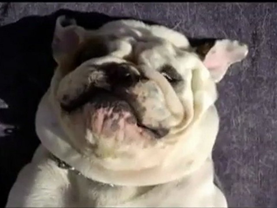 Frolic Swimming Pool