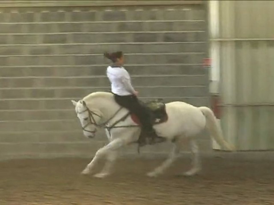 Camille PLUMECOCQ, voltige équestre