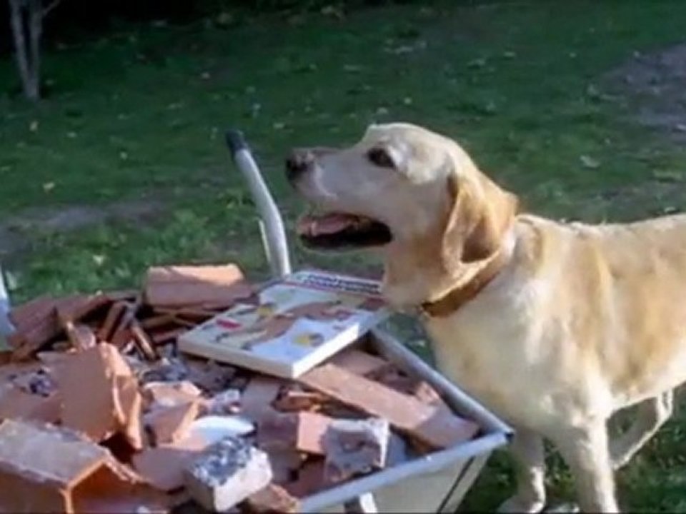 Caroline Costa reprise de Mariah Carey