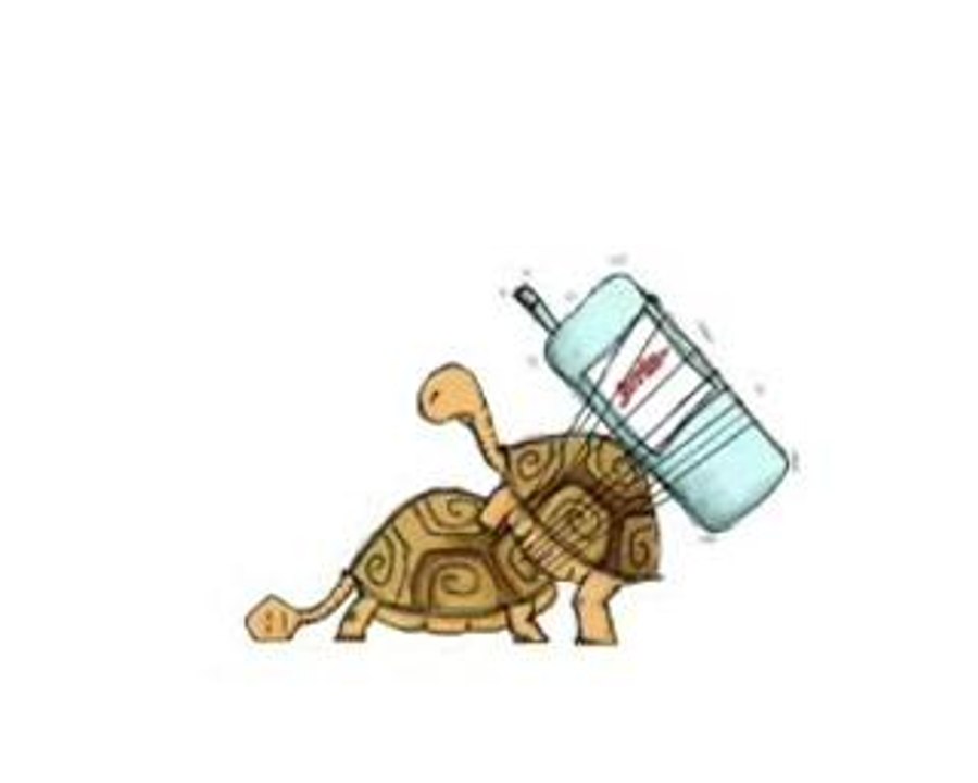 tortu
