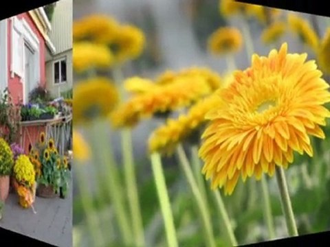 Grabpflege Villingendorf Gärtnerei Müller