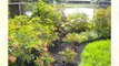 Cooper City FL Landscaping Guru/ Professional 954-224-5119