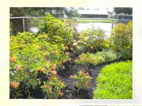 Cooper City FL Landscaping Guru/ Professional 954-224-5119