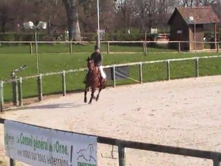 Tricky Choice du Péna - Le Pin - Cycle Classique 4 ans - Sans faute