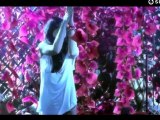 Edward Maya ft. Vika Jigulina - Desert Rain [Official video HD]