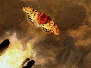 Мой счастливый день