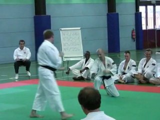 Coupe de France de Shorinji Kempo 2009, Embu d'Alain et Cyrill