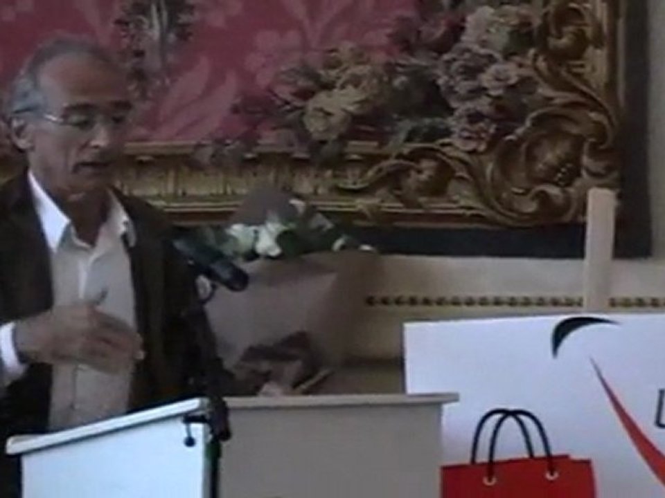 LES VITRINES DE VESOUL