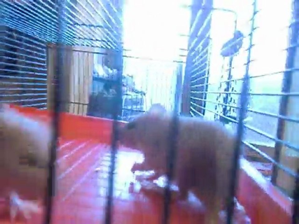 bébé Lilou 30mars2011