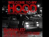 dj khaled ft VA-welcome to my hood (remix)