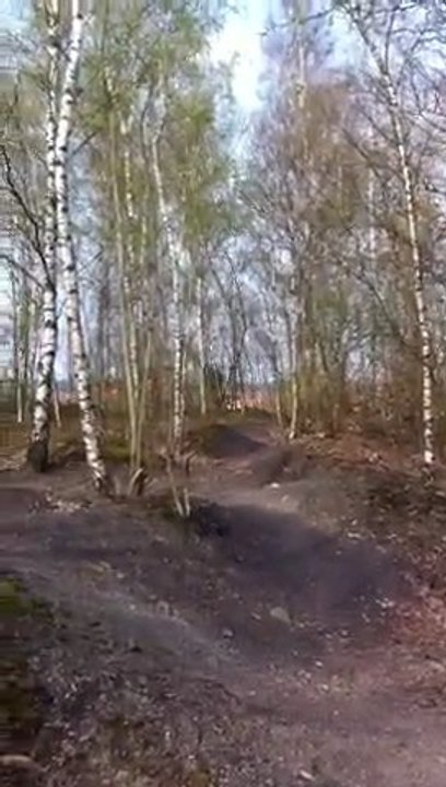 vtt3