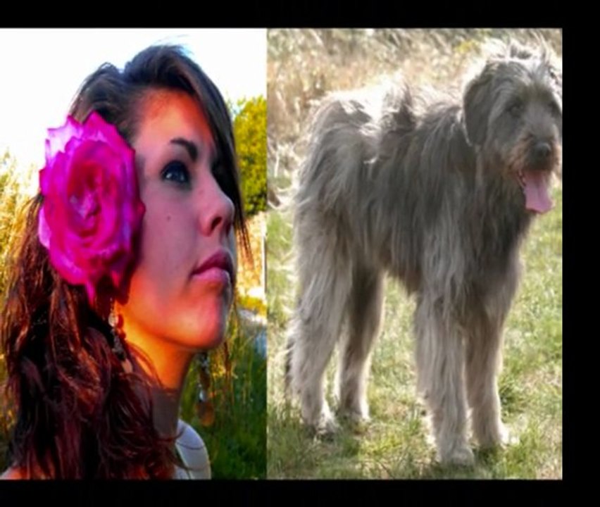 City Concours Agility le 20 Mars 2011 à Montignac .