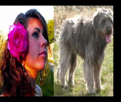 City Concours Agility le 20 Mars 2011 à Montignac .