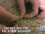 Carpet Cleaners Salt Lake City - How often should your carpets be cleaned?