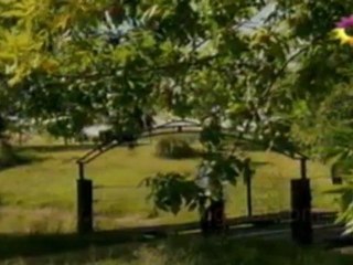 Mercedes y Antonio -Herederos de una venganza- Capitulo 40 parte 1