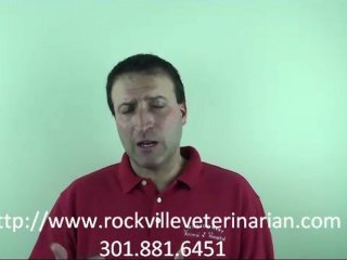 Flea and Tick