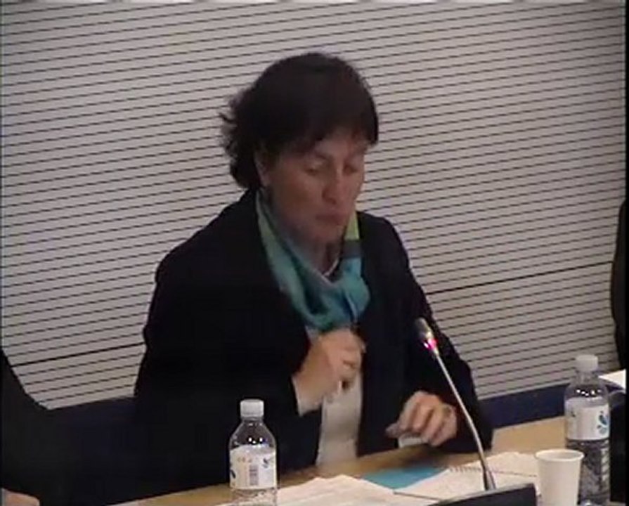 Audition L Wauqiez Com Aff Europ 29 mars 2011