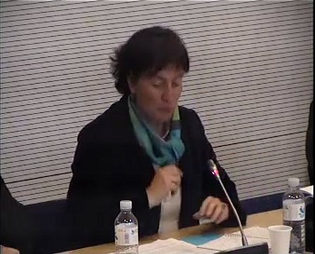 Audition L Wauqiez Com Aff Europ 29 mars 2011