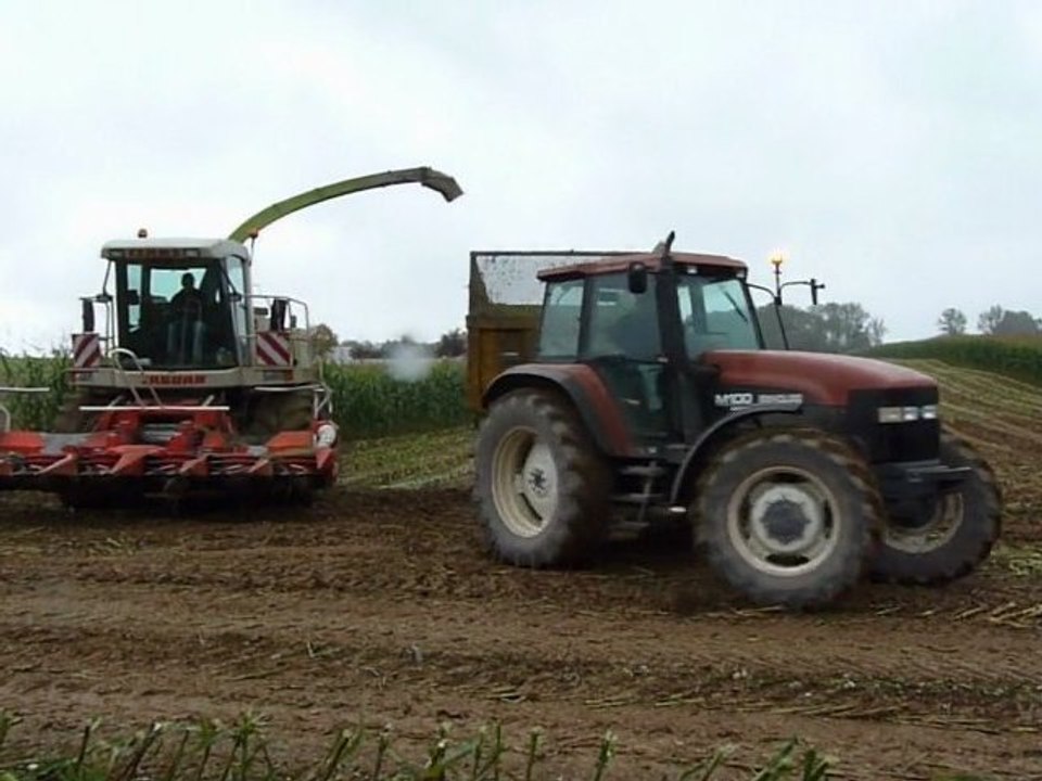 Ensilage maïs 2010 (n°3) - Maïs silage 2010 (n°3)
