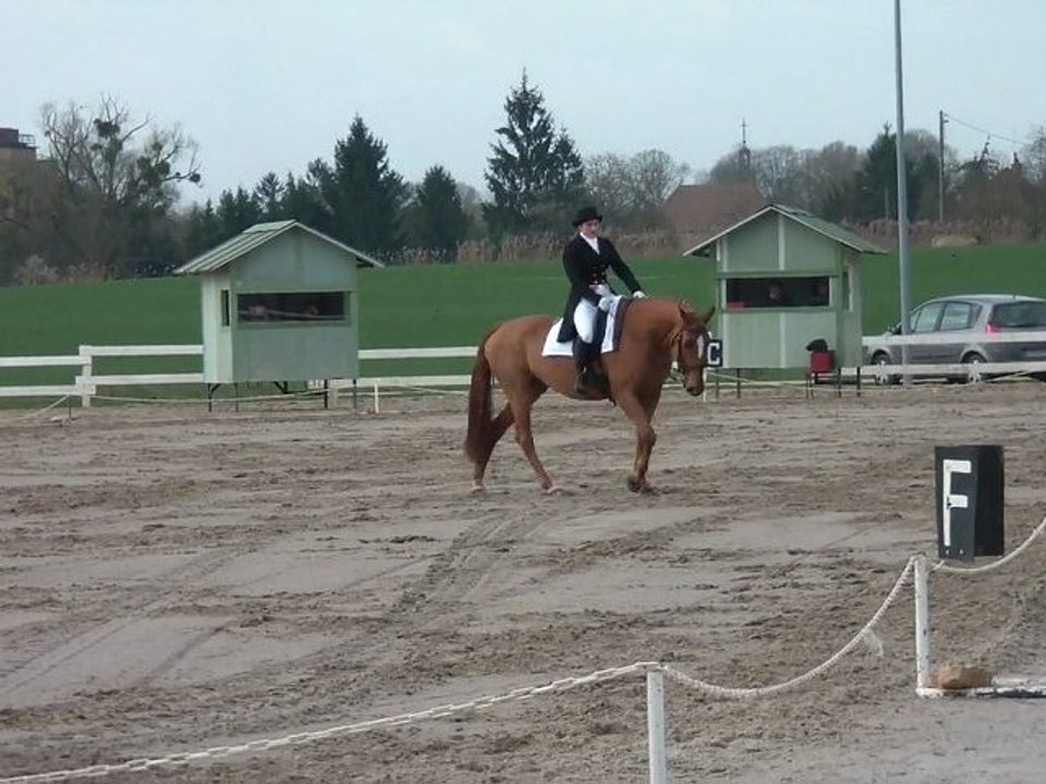 CCE Brazey En Plaine - Pro3 - Jojo des Cottards - 26/03/2011