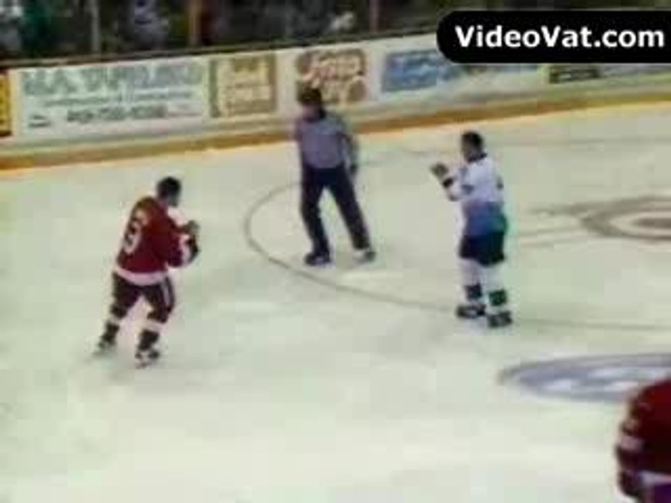 bagarre en hockey sur glace