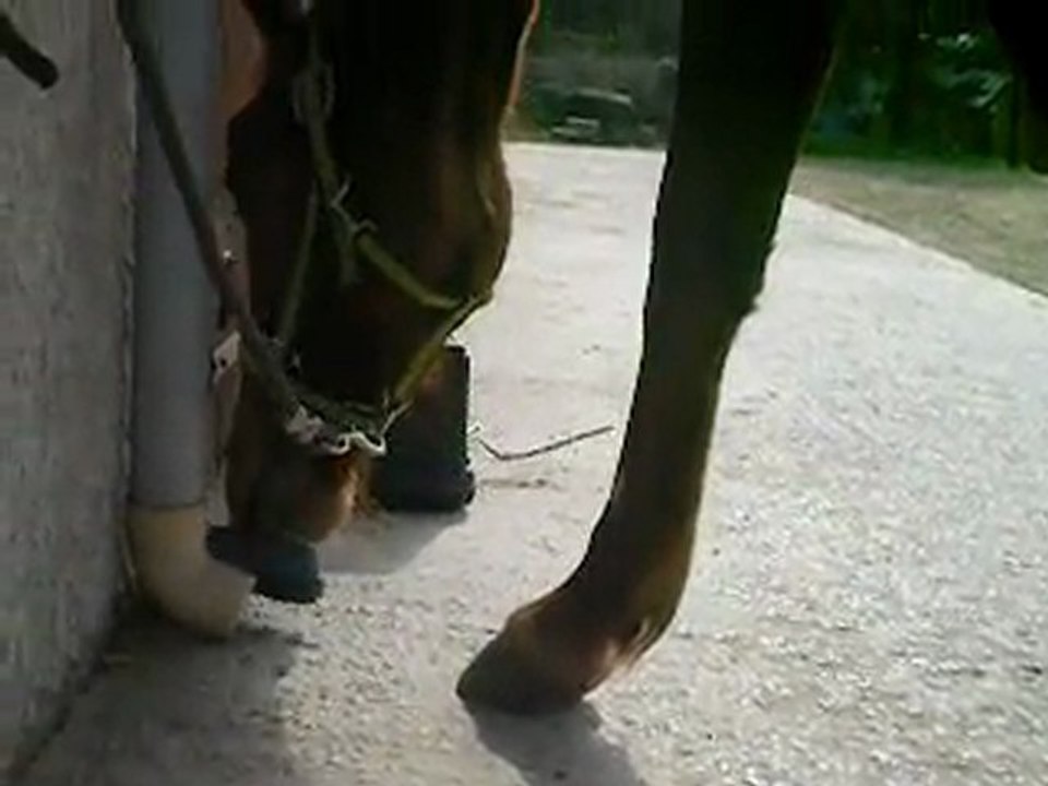 Un amour fou avec ma Boite xD