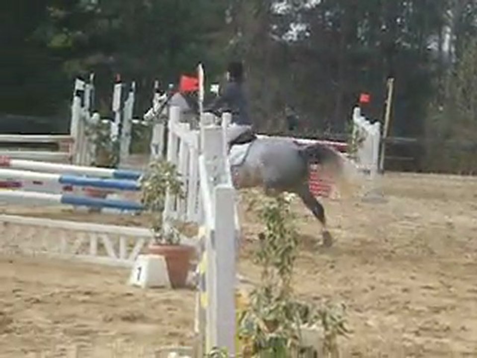 Roxane et sa cavaliere au concours .