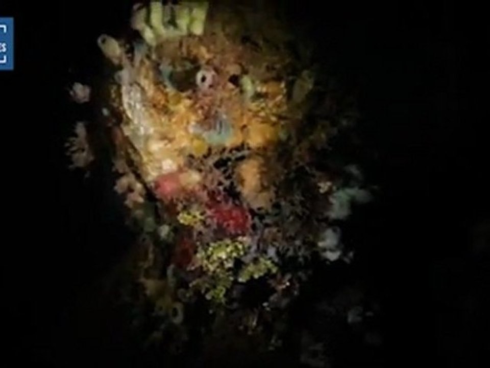 PEUPLE SOUS LA MER 2 (LE)