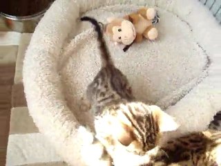 petite femelle dispo