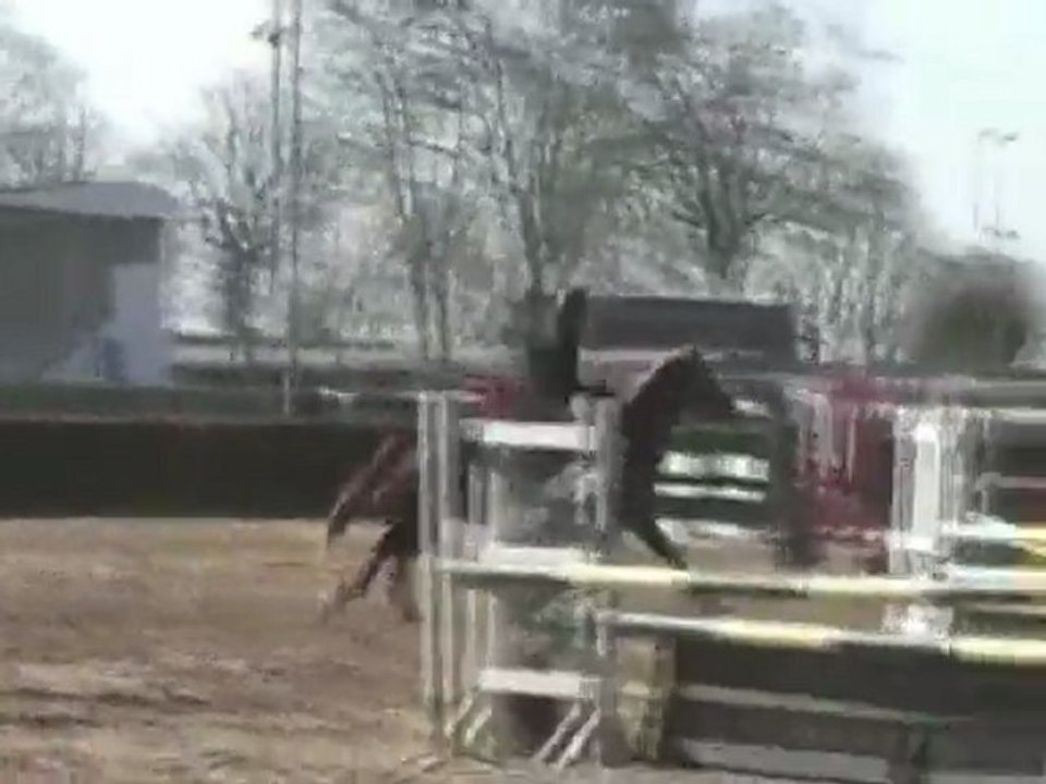 Hébergerie - Tango du Bois - CC 4ans - La Roche sur Yon 2011-03-23