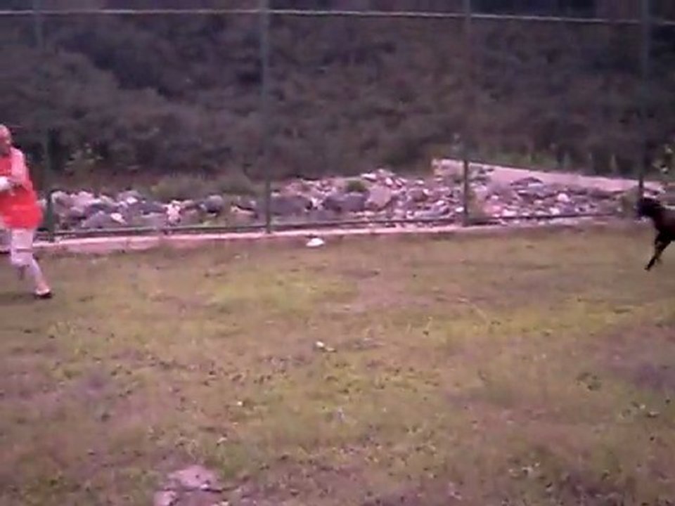 kaynar mahallesi   şirin ve kuzular