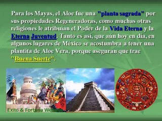 ALOE VERA TU DOCTOR MILAGROSO