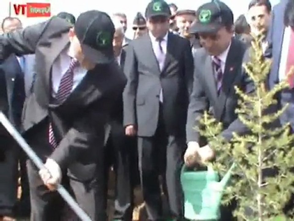 Kayapınar'da Çam Dikimi