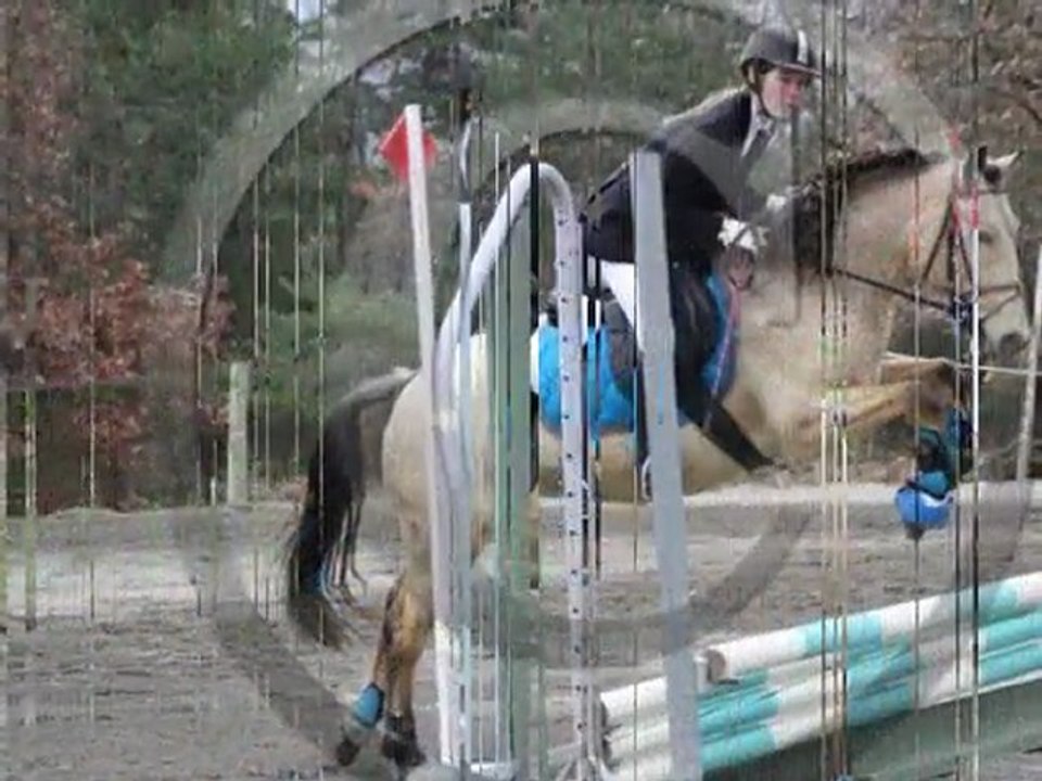 Camille & Swing d'Avette