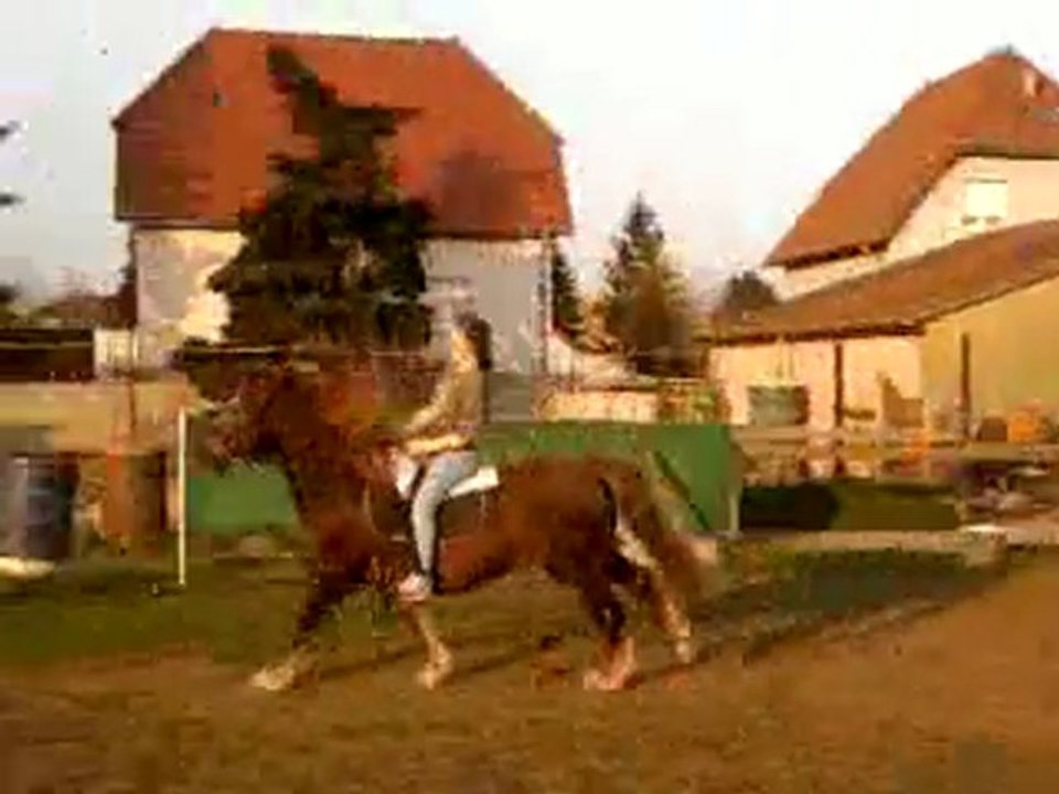 Départ pas - galop !