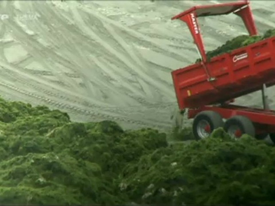 Water Makes Money, comment les multinationales transforment l'eau en argents_3/6