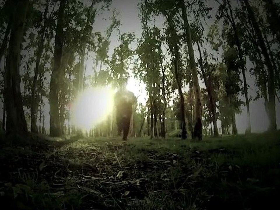 Dimenssion - Perdido