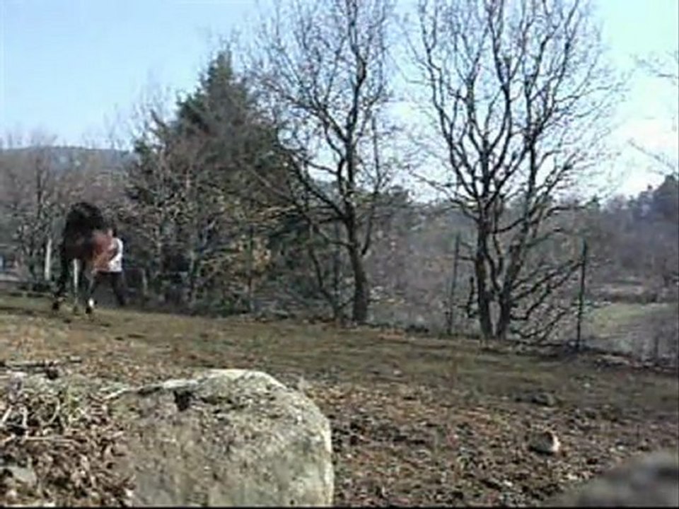 vizhir 2, 18 et 30 mars