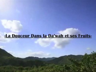 - La Douceur Dans la Da’wah et ses Fruits Shaykh Rabee’ Ibn Hadi Al-Madkhali -