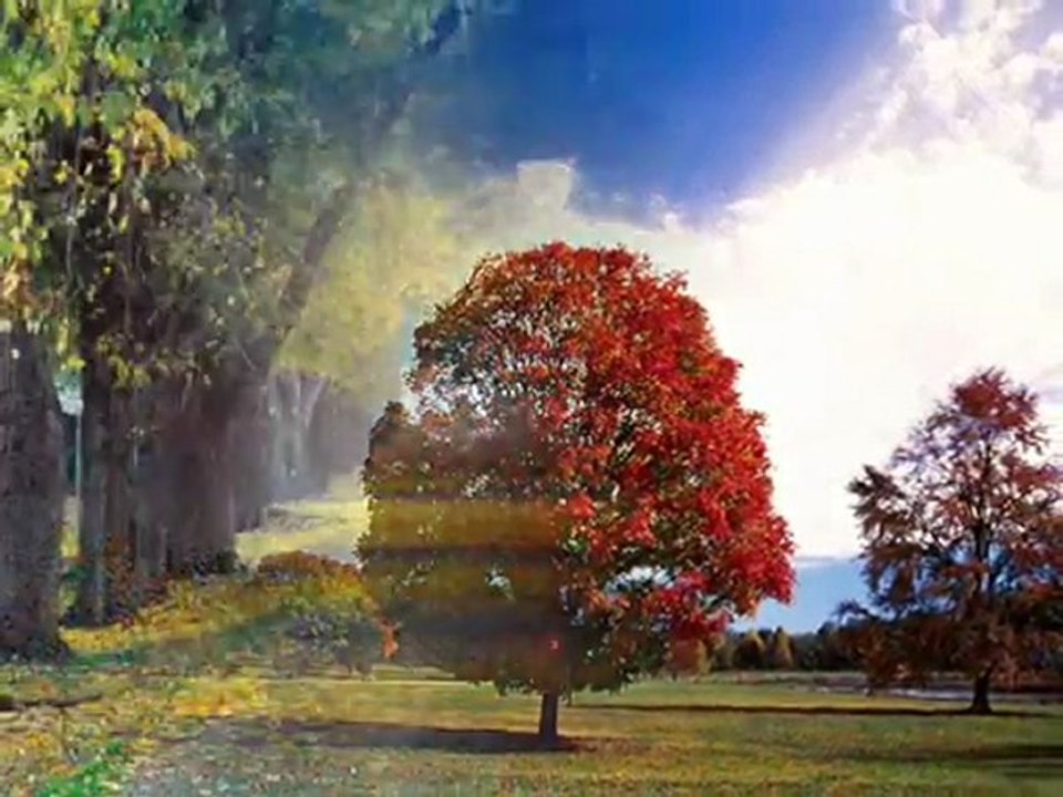 ALPAY--EYLÜLDE GEL..