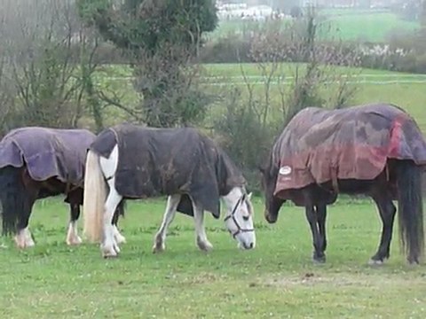 Quiator pré mars 2011