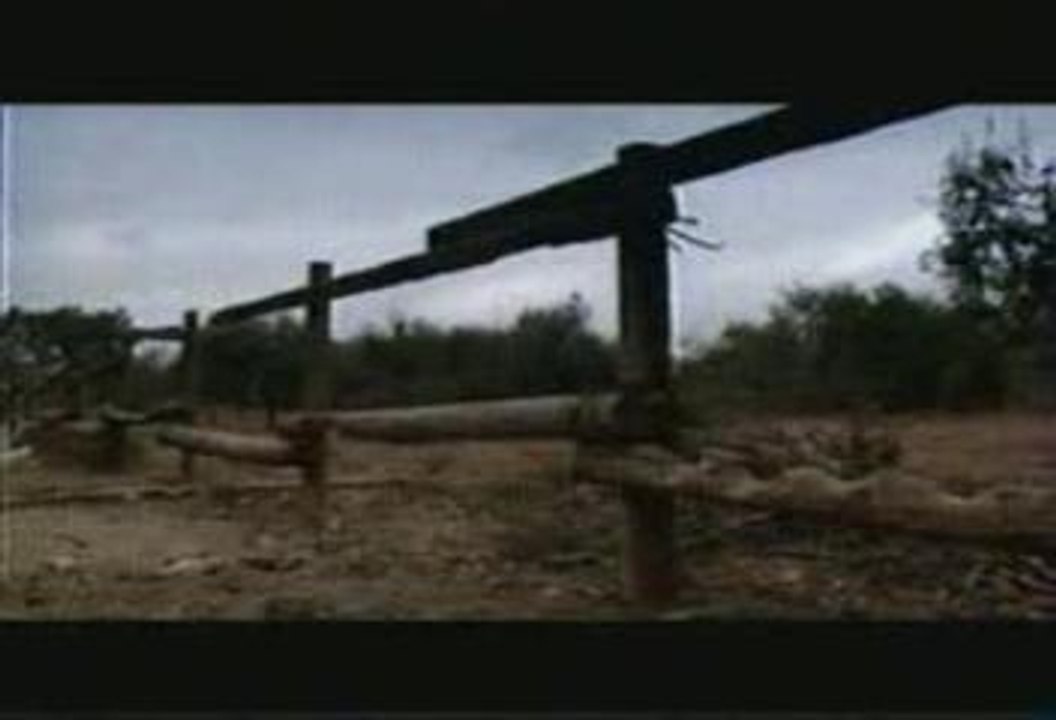 Bruno salomone - Le cochon d'inde