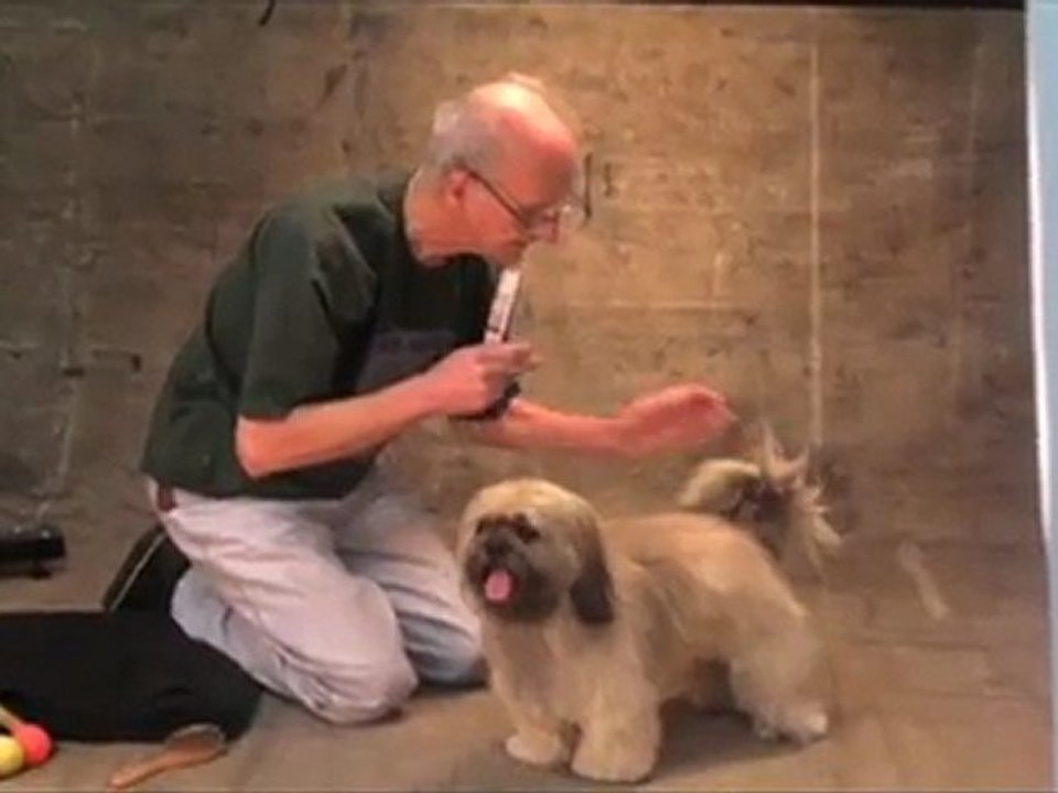 Cães de famosos