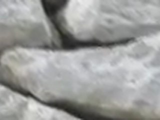 Waschmaschinenreparaturen Potsdam Service-Team Stefan Guse