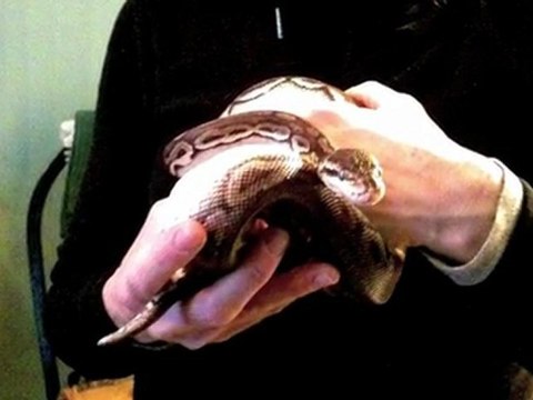 Seniors with pets Burlington County