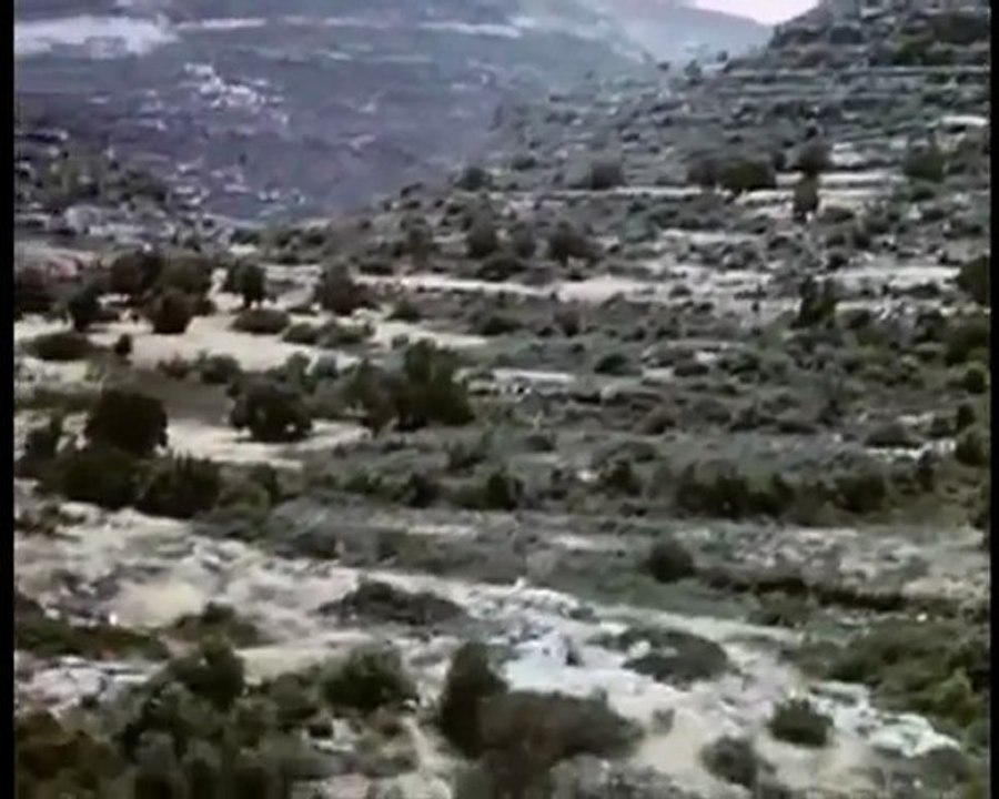 UN BOULEVARD NOMME HERZL...