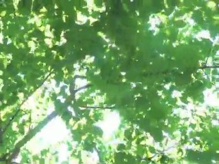 KOMOREBI  Hidetake Takayama × Zenta Yokoyama