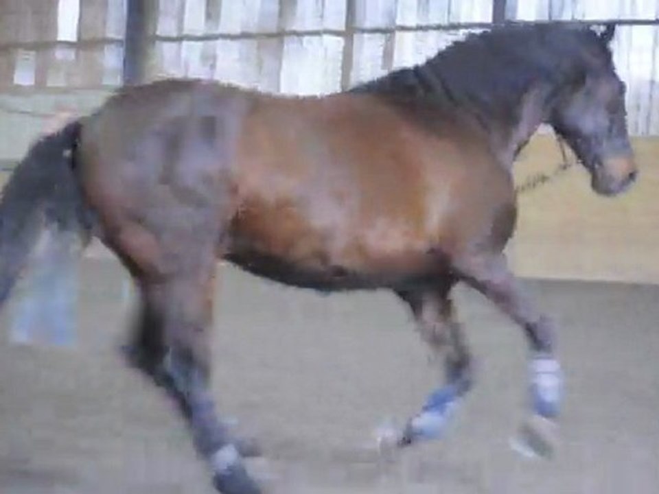 Quiator longe mars 2011